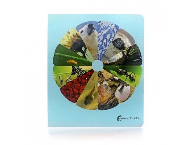 Los ciclos de la vida 15*15cm NOWORDBOOKS