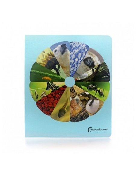 Los ciclos de la vida 15*15cm NOWORDBOOKS
