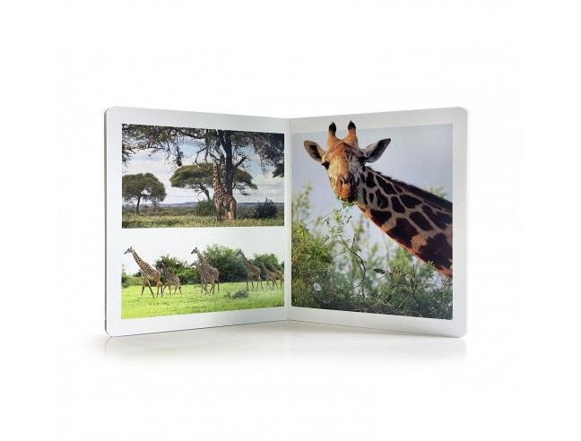 Libro imagen real Animales de la Sabana Gran...