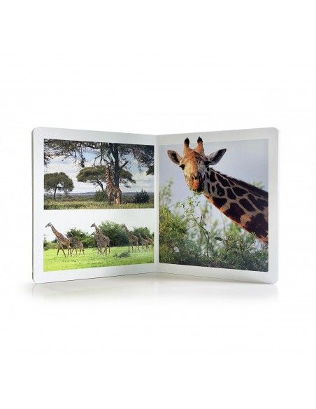 Libro imagen real Animales de la Sabana Gran Formato NOWORDBOOKS