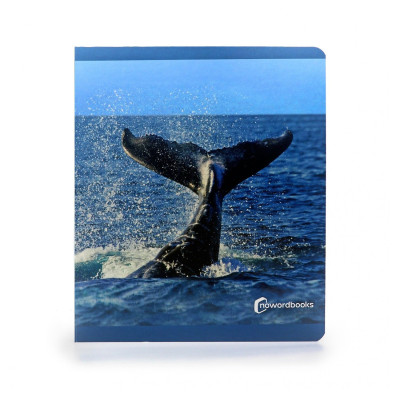 Libro imagen real Animales Marinos Gran Formato NOWORDBOOKS
