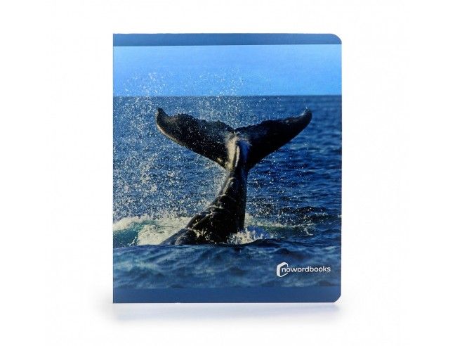 Libro imagen real Animales Marinos Gran Formato...