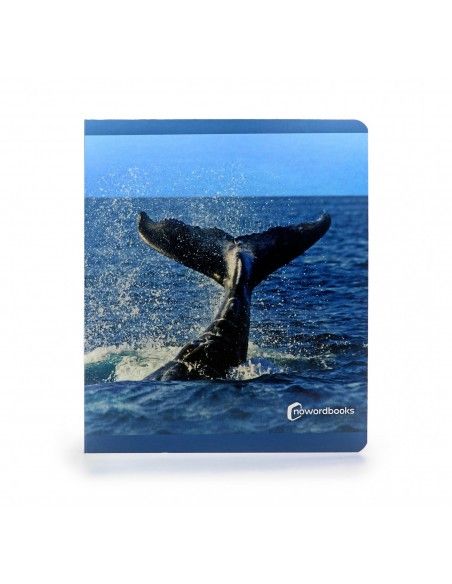 Libro imagen real Animales Marinos Gran Formato NOWORDBOOKS