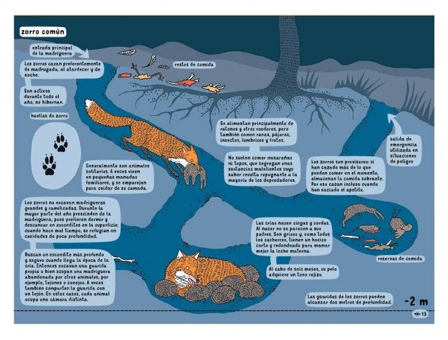Debajo de la Tierra, debajo del agua