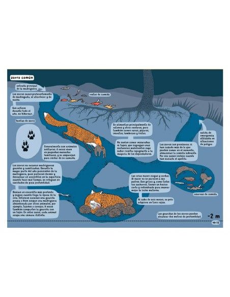 Debajo de la Tierra, debajo del agua
