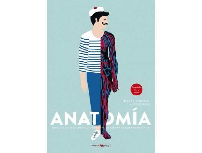 Anatomía MAEVA