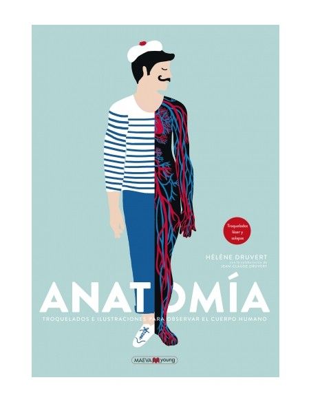 Anatomía MAEVA