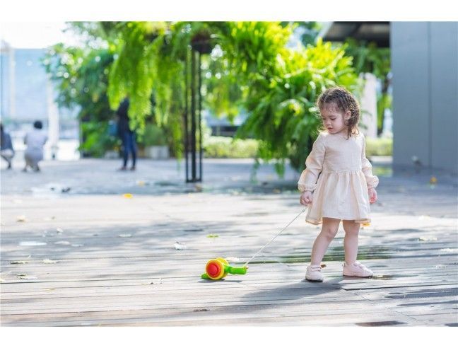 ARRASTRE CARACOL PLANTOYS