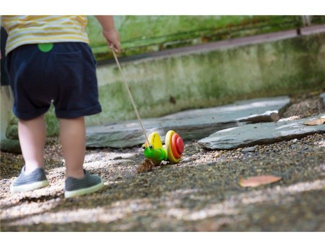 ARRASTRE CARACOL PLANTOYS