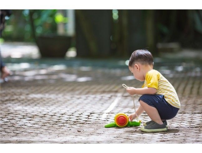 ARRASTRE CARACOL PLANTOYS