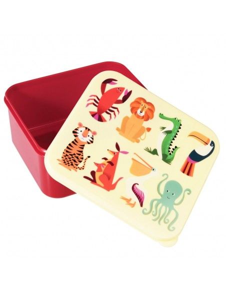 Tupper REX Colorful Creatures