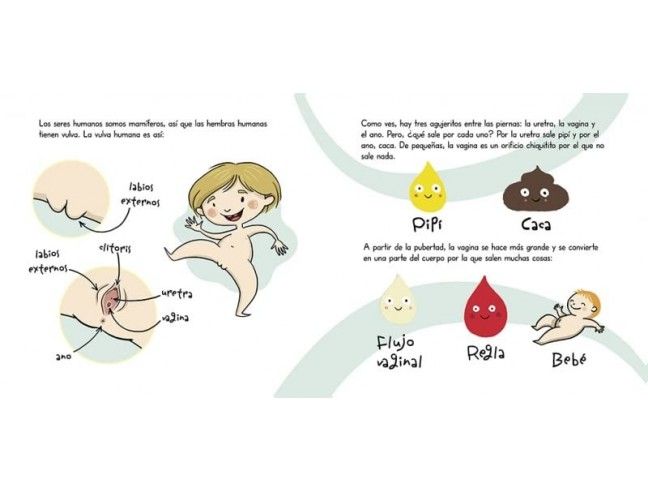 ¡Se llama vulva! Menstruita