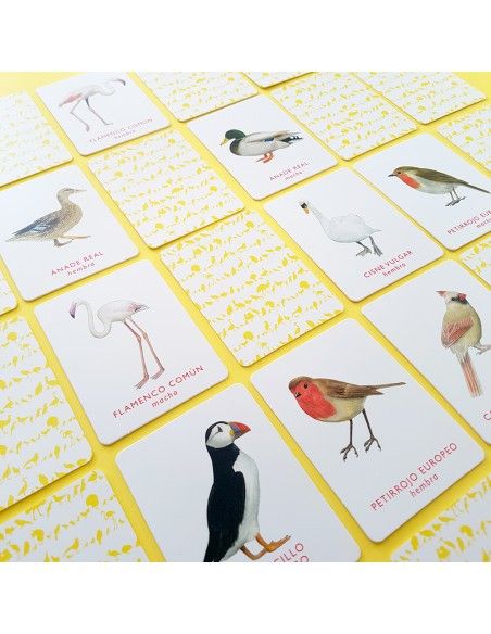 Juego de memoria. UN PAR DE AVES. MTM