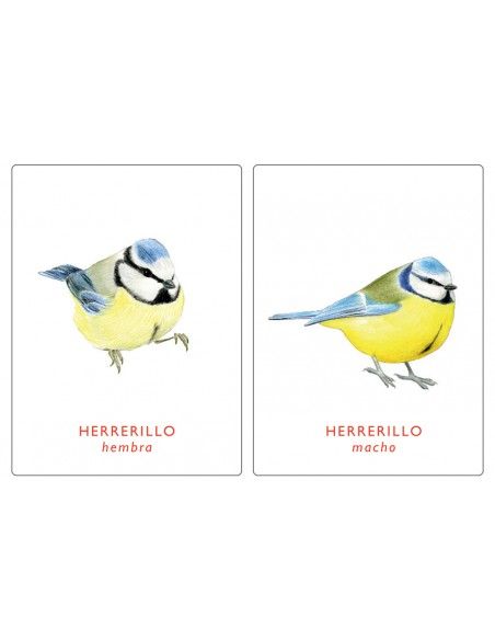 Juego de memoria. UN PAR DE AVES. MTM