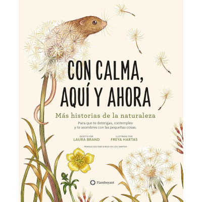 CON CALMA. AQUÍ Y AHORA