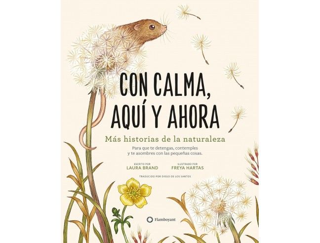 CON CALMA. AQUÍ Y AHORA