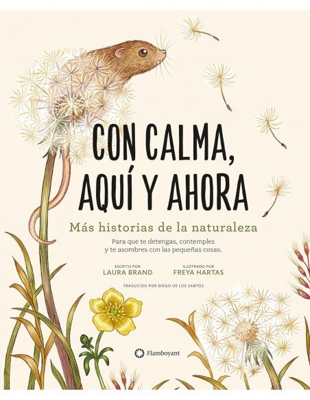 CON CALMA. AQUÍ Y AHORA