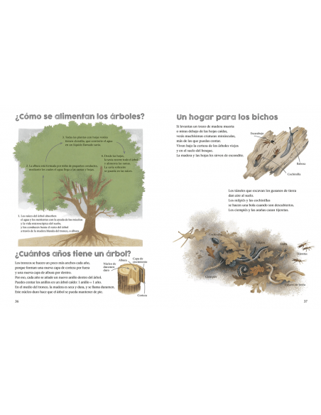 Un año alrededor del gran roble. Gerda Muller. ING Edicions
