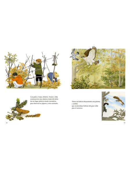 Un año alrededor del gran roble. Gerda Muller. ING Edicions