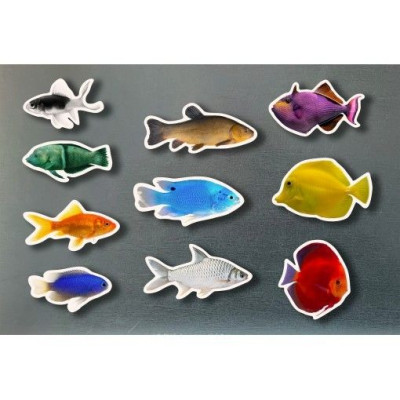 Piezas magnéticas Peces de Colores NOWORDBOOKS