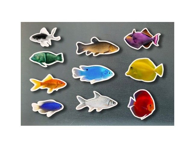 Piezas magnéticas Peces de Colores NOWORDBOOKS