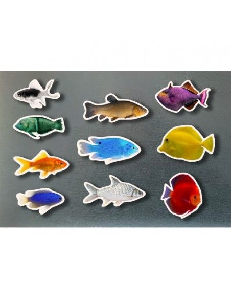 Piezas magnéticas Peces de Colores NOWORDBOOKS