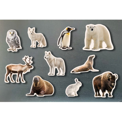 Piezas magnéticas Animales polares NOWORDBOOKS