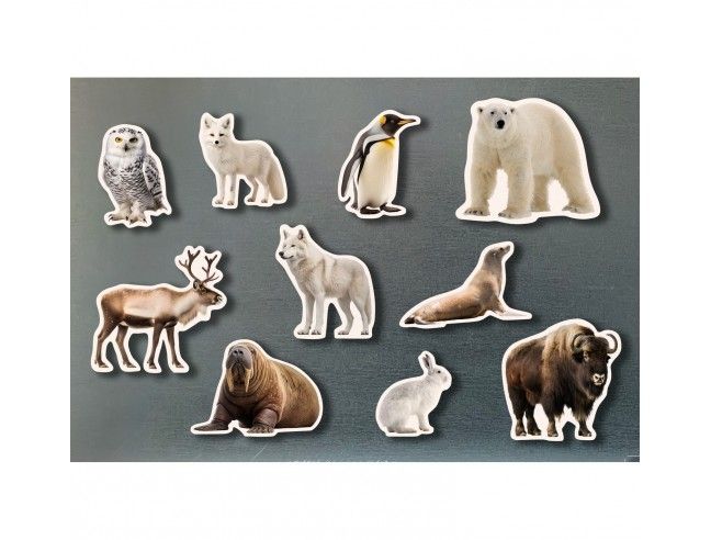 Piezas magnéticas Animales polares NOWORDBOOKS