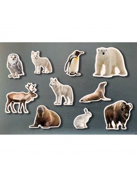 Piezas magnéticas Animales polares NOWORDBOOKS