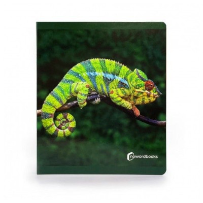 Libro imagen real Animales de la Selva Gran Formato NOWORDBOOKS