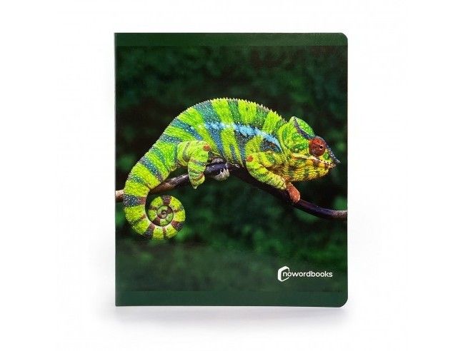 Libro imagen real Animales de la Selva Gran Formato NOWORDBOOKS