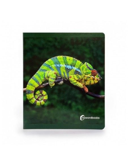 Libro imagen real Animales de la Selva Gran Formato NOWORDBOOKS
