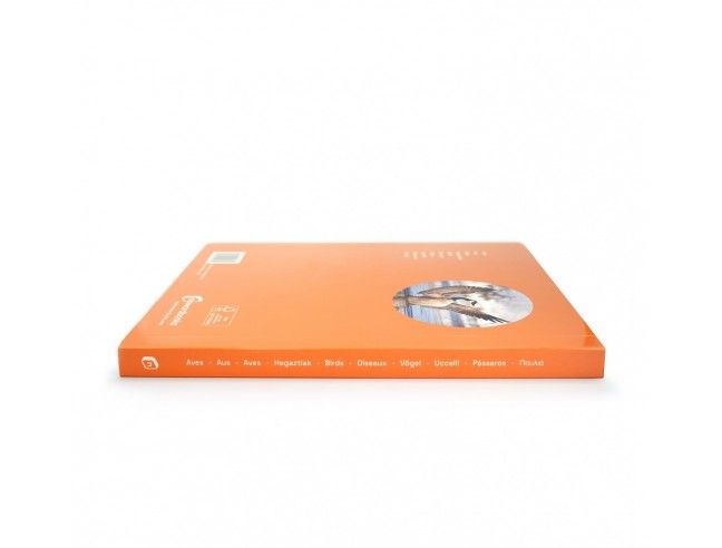 Libro imagen real Aves Gran Formato NOWORDBOOKS