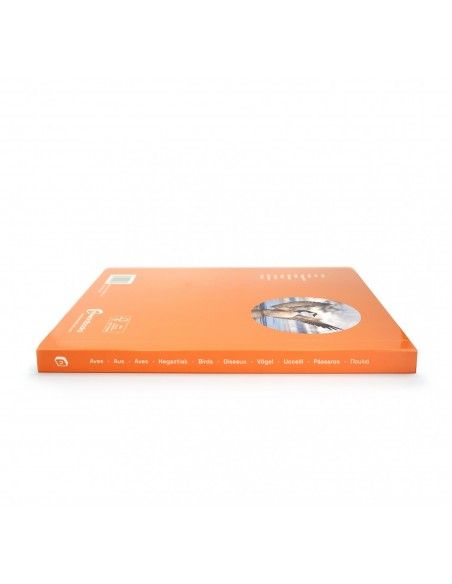 Libro imagen real Aves Gran Formato NOWORDBOOKS