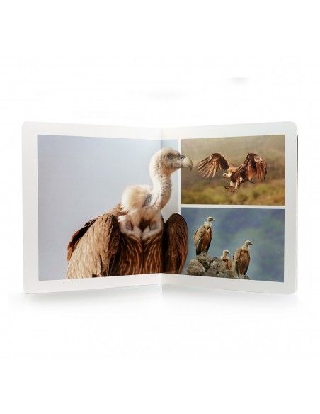 Libro imagen real Aves Gran Formato NOWORDBOOKS