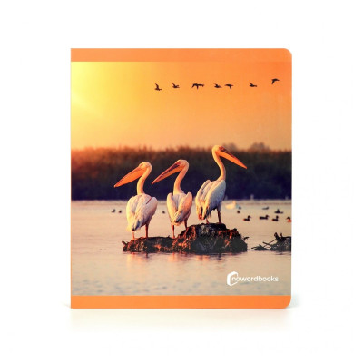 Libro imagen real Aves Gran Formato NOWORDBOOKS