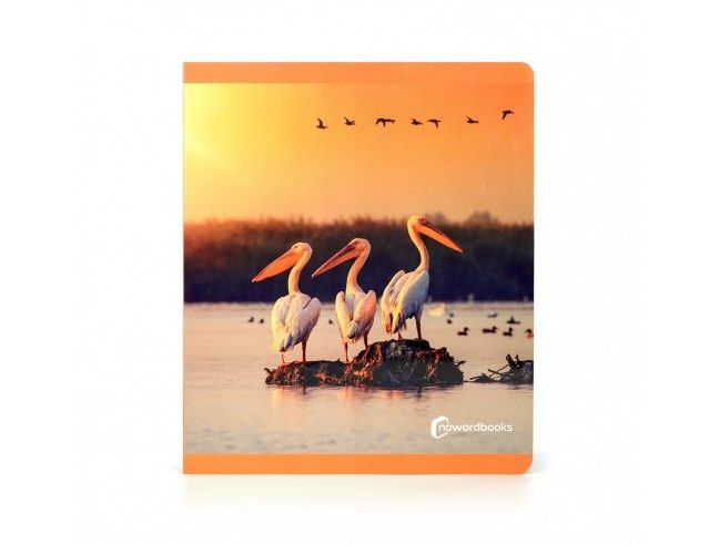 Libro imagen real Aves Gran Formato NOWORDBOOKS