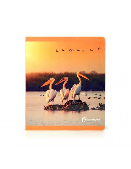 Libro imagen real Aves Gran Formato NOWORDBOOKS