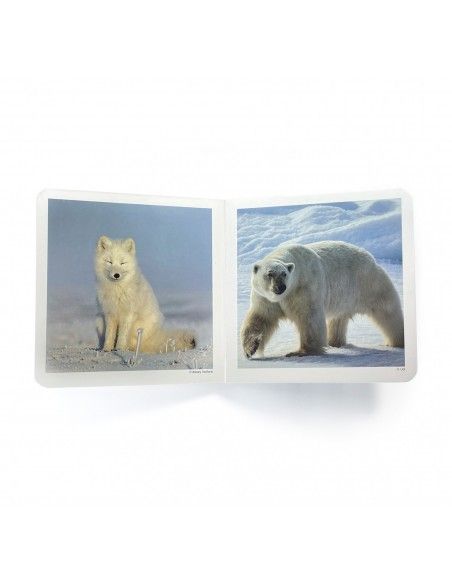 Libro de imágenes "Animales polares" NOWORDBOOKS