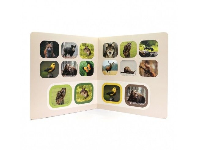 Libro de imágenes "Busca y Encuentra BOSQUE"...