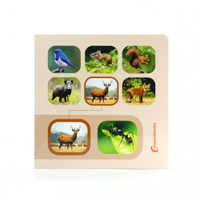 Libro de imágenes "Busca y Encuentra BOSQUE" NOWORDBOOKS