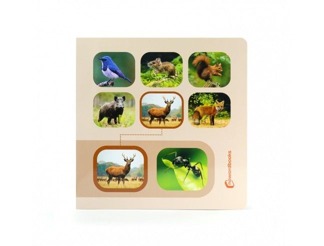 Libro de imágenes "Busca y Encuentra BOSQUE" NOWORDBOOKS