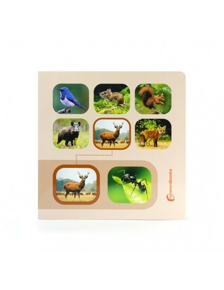 Libro de imágenes "Busca y Encuentra BOSQUE" NOWORDBOOKS