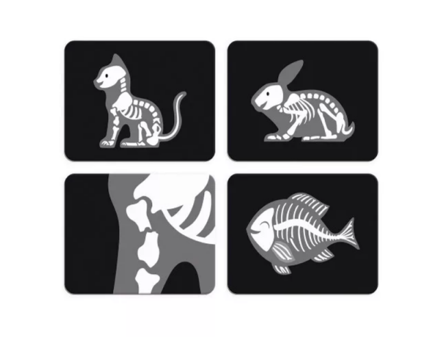 MALETÍN DE VETERINARIO Janod