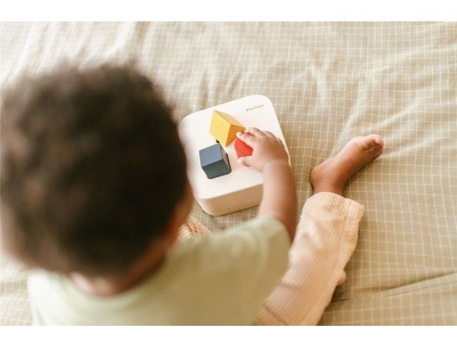 Encaja las formas Plantoys