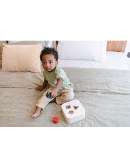 Encaja las formas Plantoys