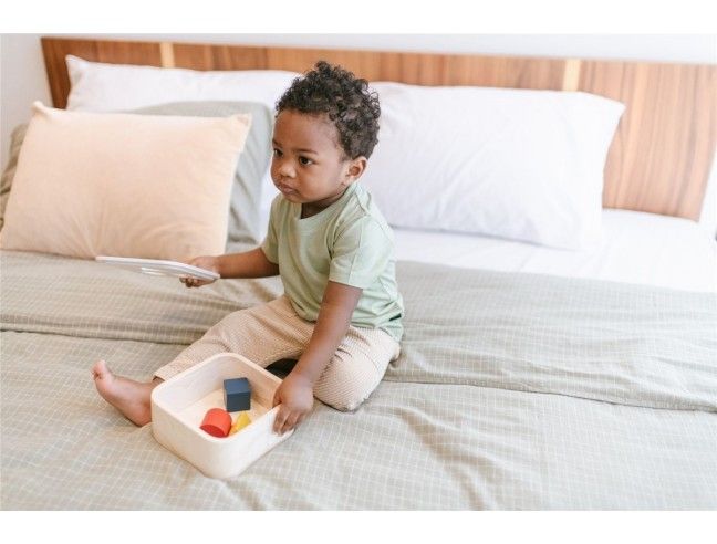 Encaja las formas Plantoys