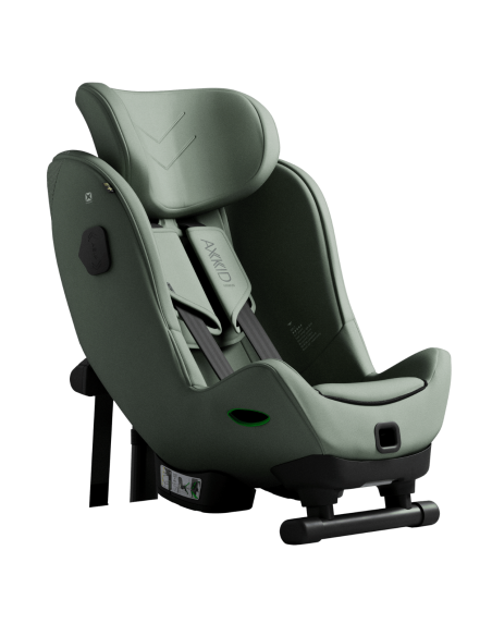 Axkid Minikid 4 MAX Nordic Bloom Green