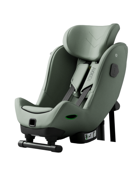 Axkid Minikid 4 MAX Nordic Bloom Green
