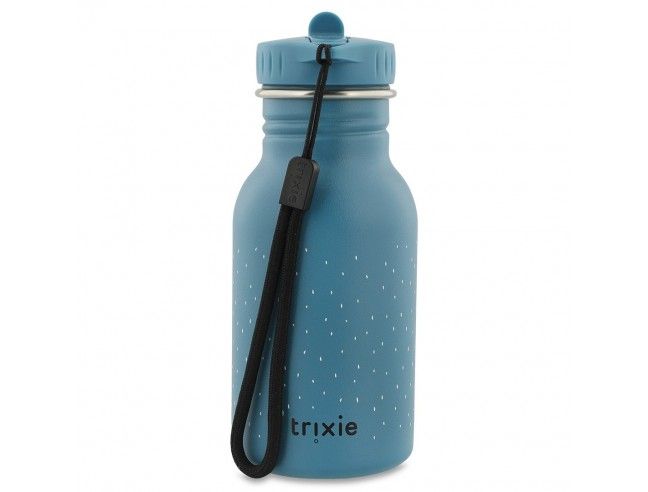 Botella Trixie de acero inoxidable Triceratops...